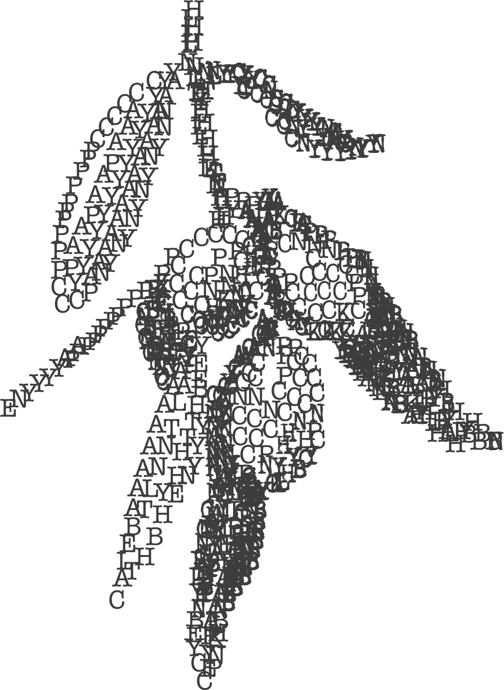 Private Hire Decor Image